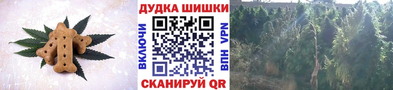 купить   Чистополь  Canna-Cookies марихуана 