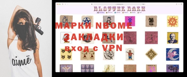 крисы Аркадак