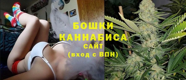 крисы Аркадак